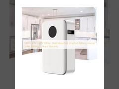 5KWh 48V 51.2V 100Ah Bateria LiFePo4 montada na parede Bateria solar doméstica 5 anos de garantia